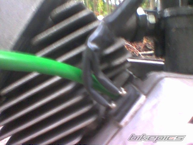 Photo 1379648