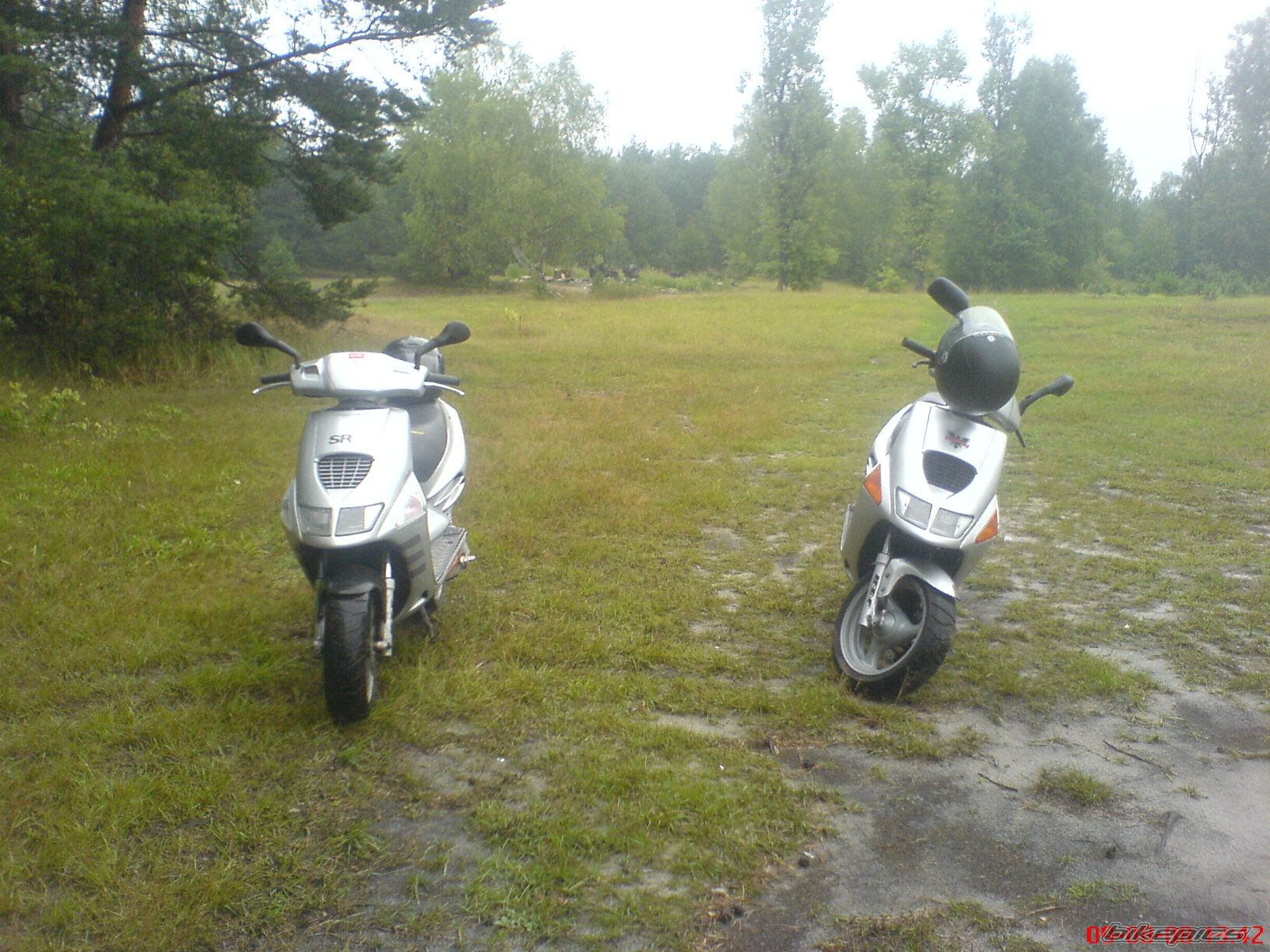 Photo 1379694