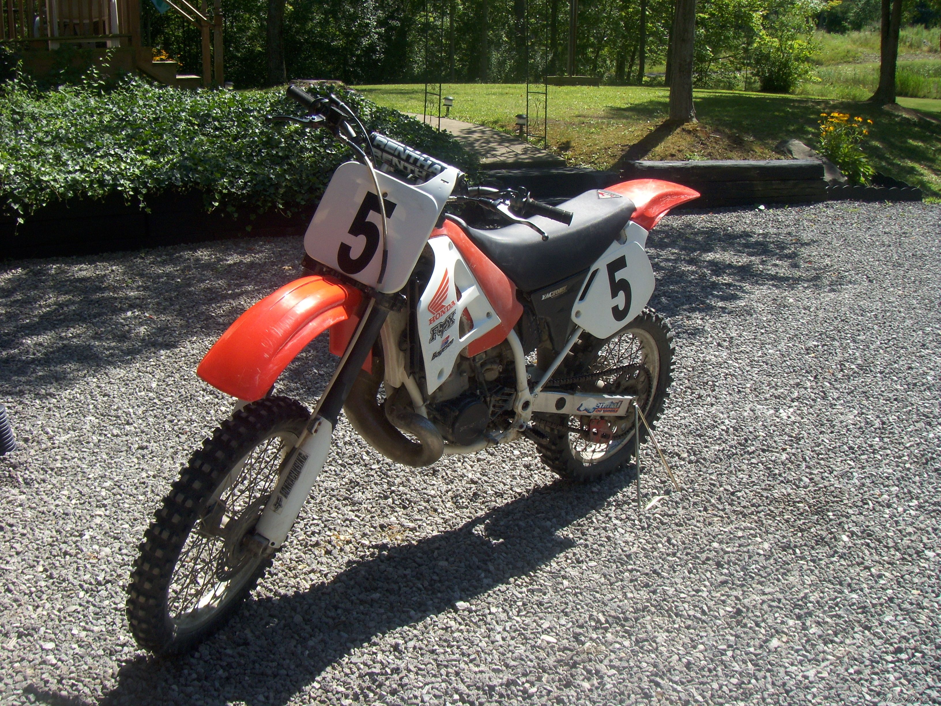 Photo 1379708