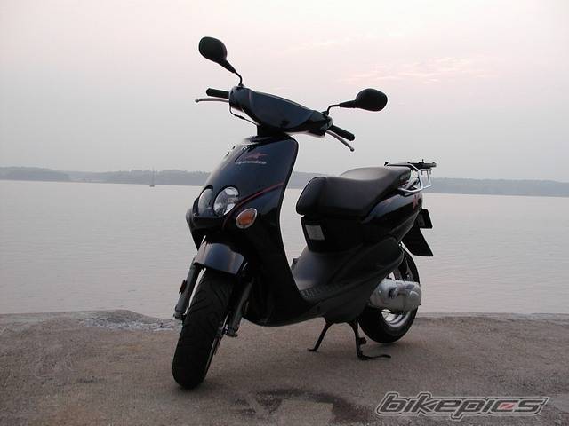 Photo 137976