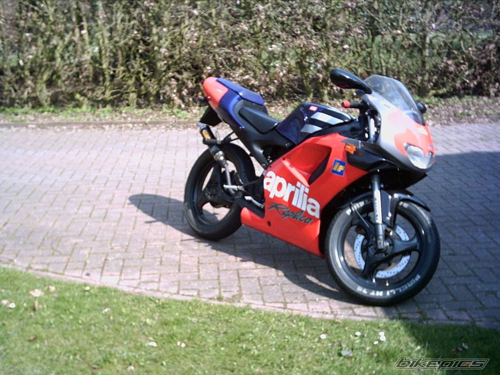 Photo 137981