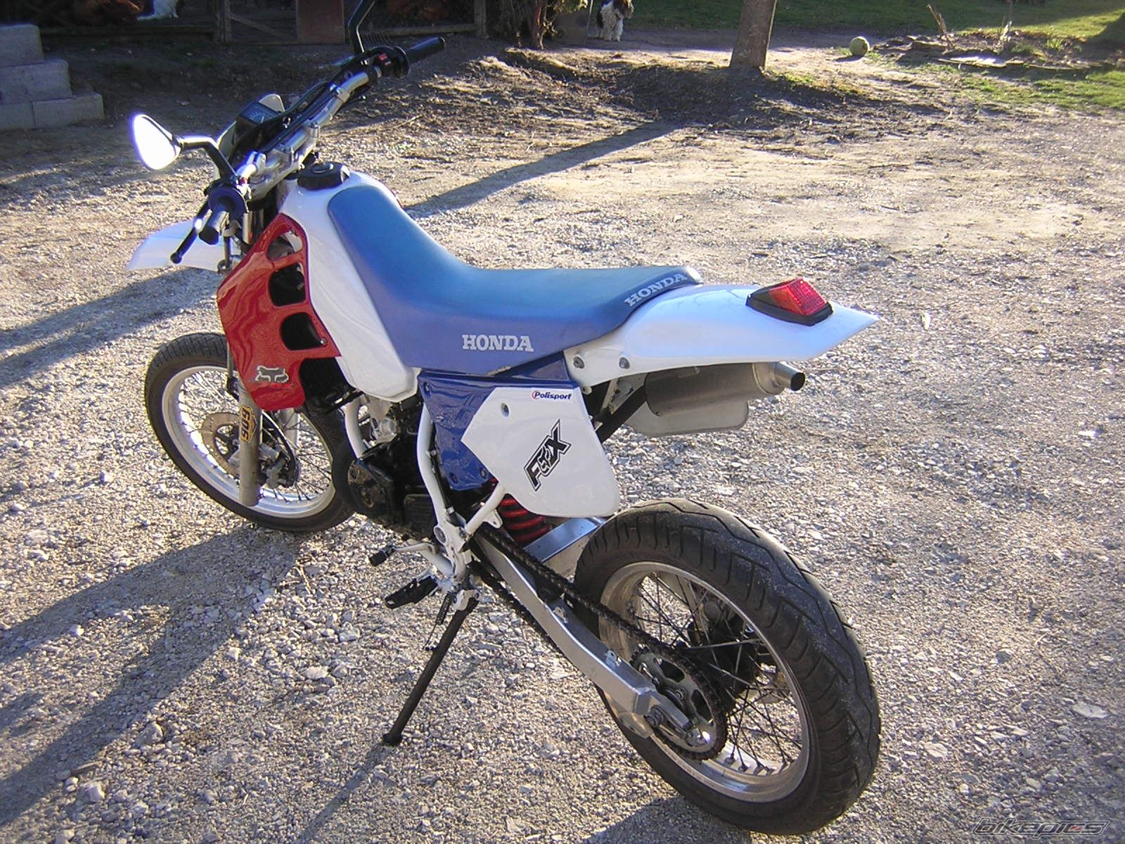 Photo 1379854