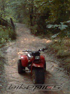 Bike Photo 1379856