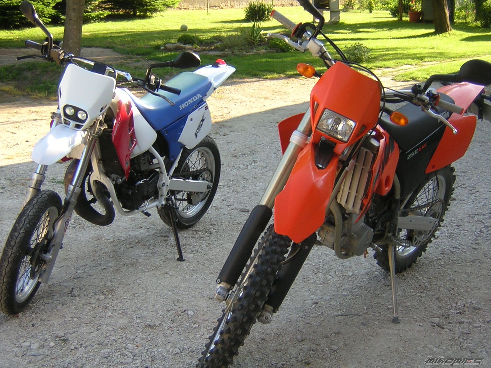 Photo 1379860