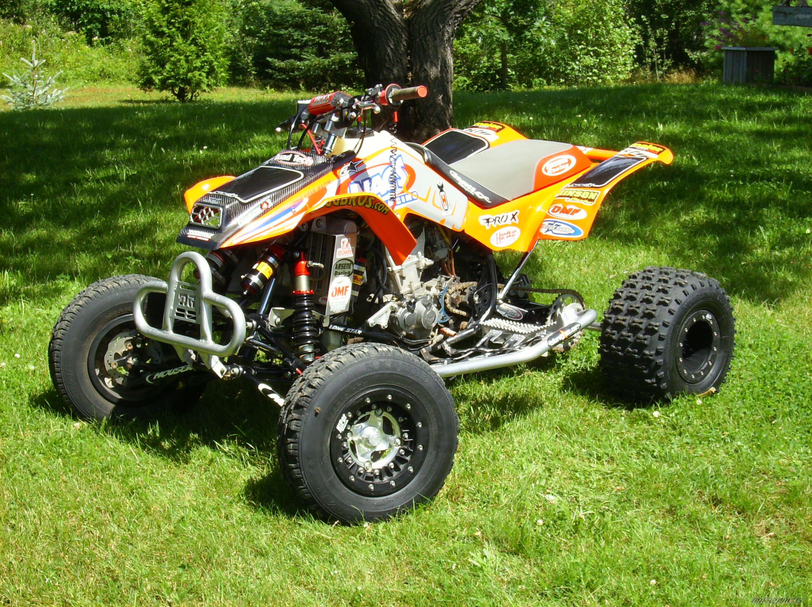 Photo 1379865