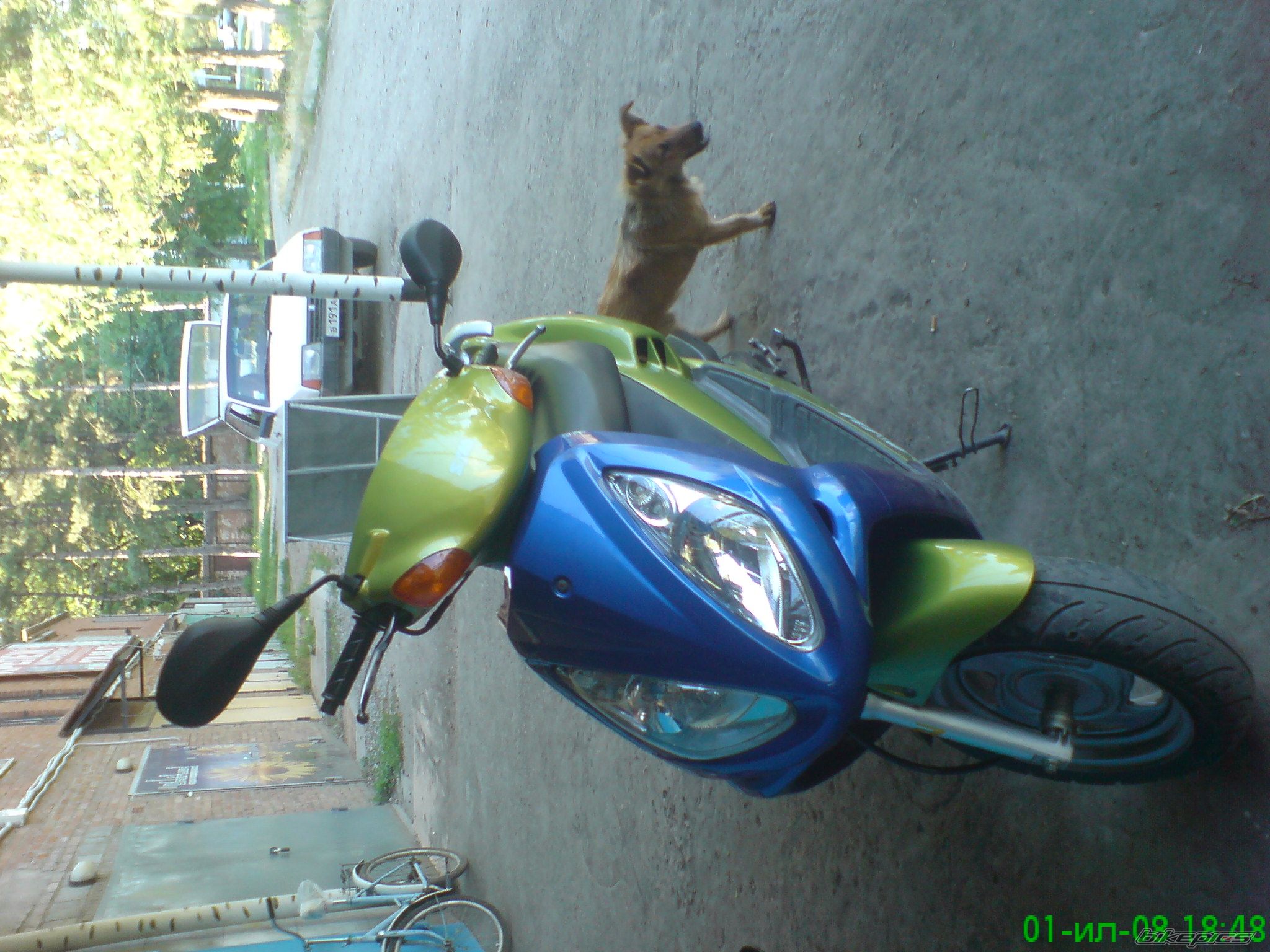 Photo 1379999