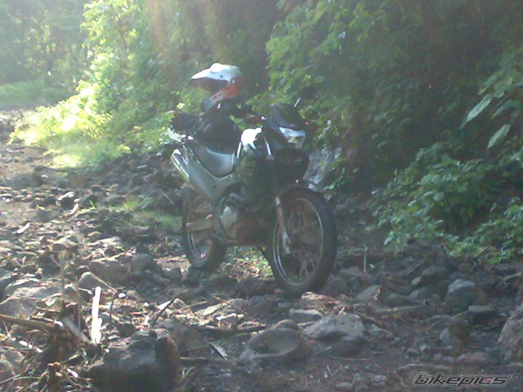 Photo 1380199