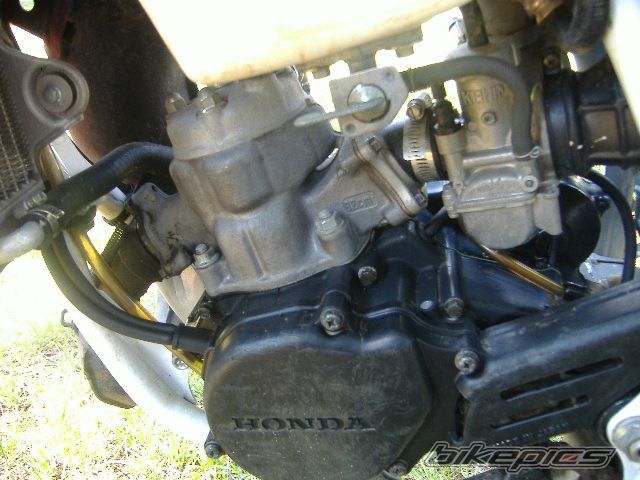 Photo 1380307