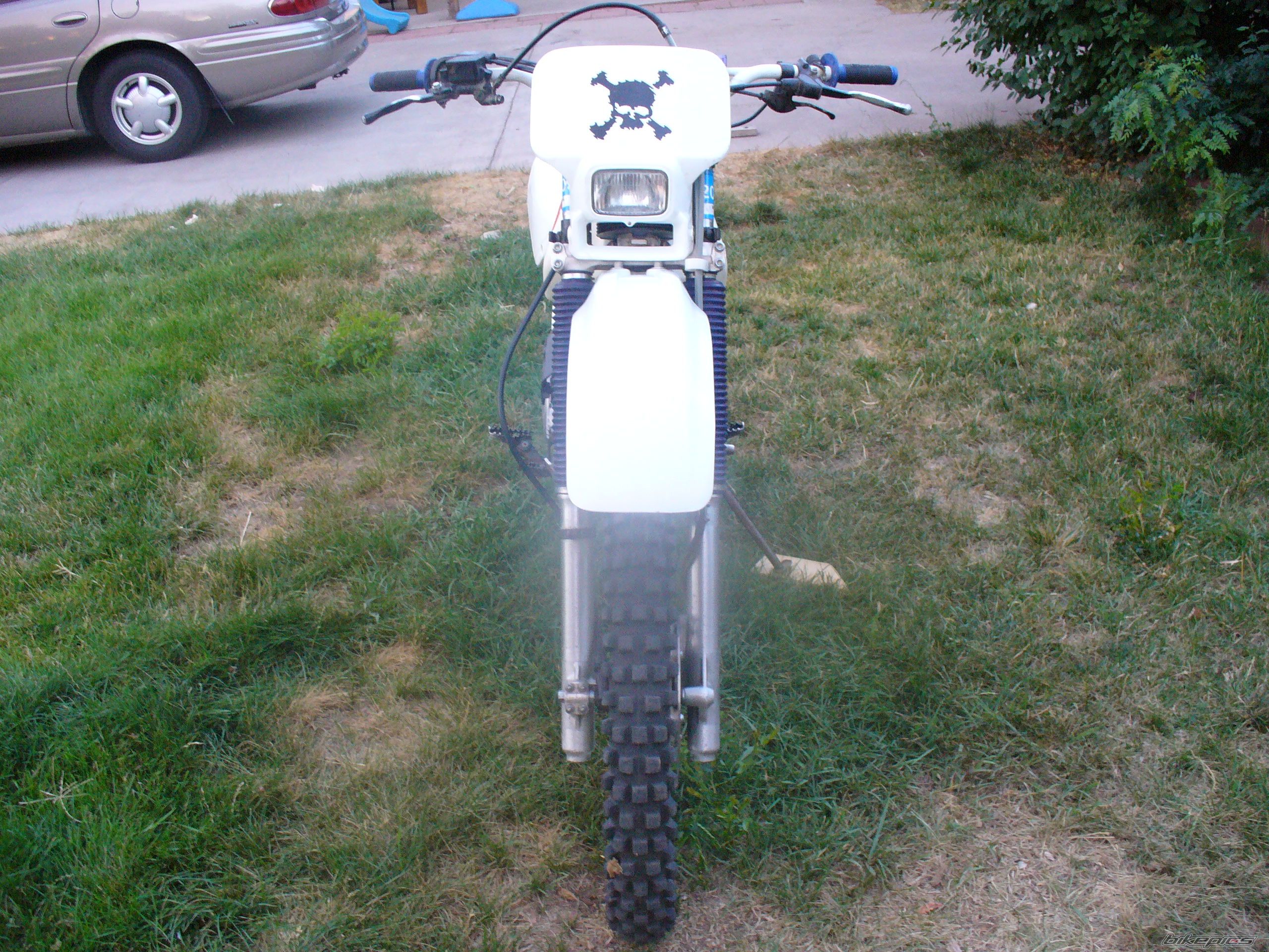 Photo 1380560