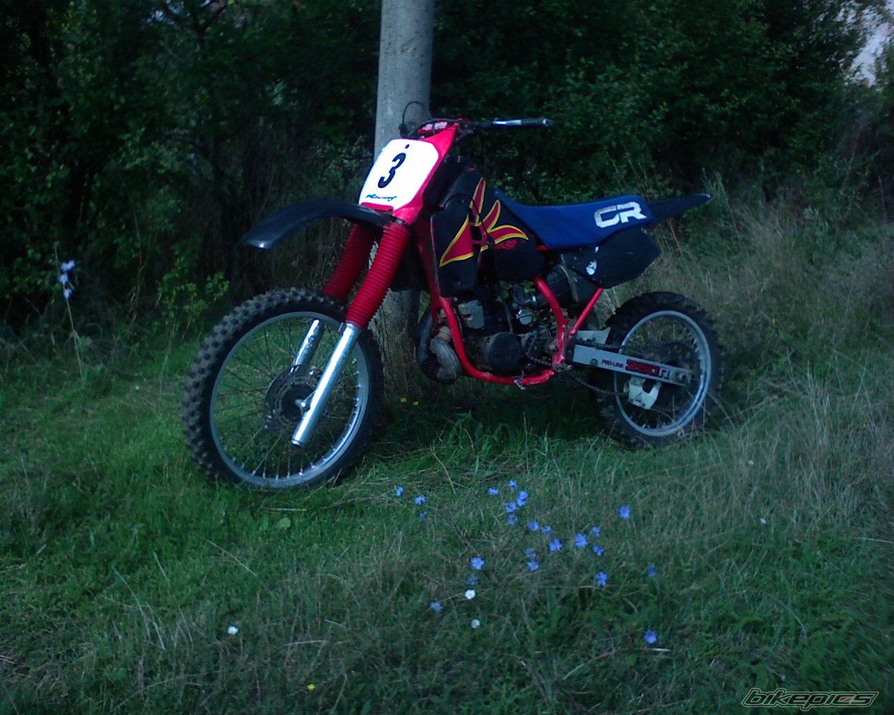 Bike Photo 1380624
