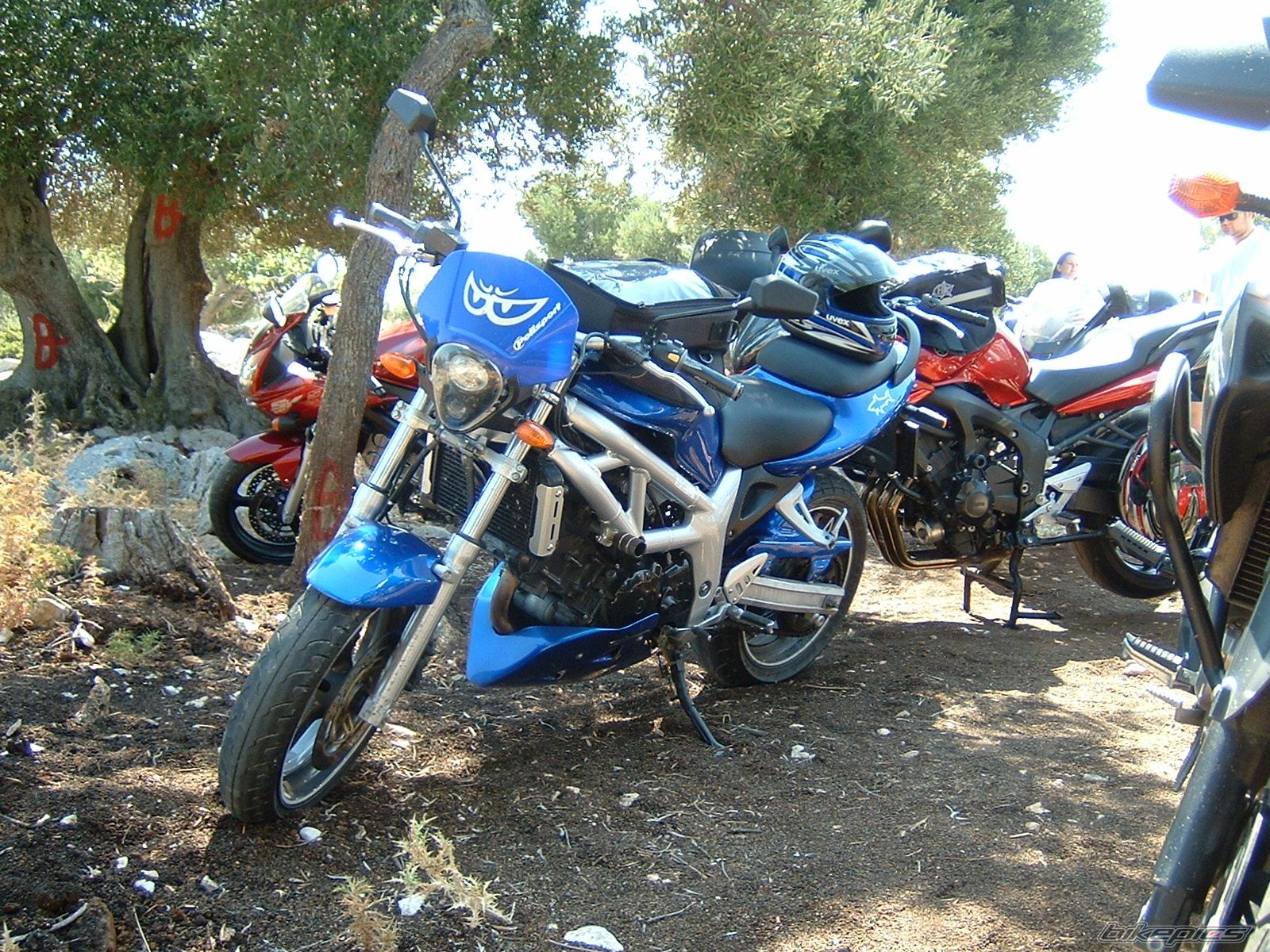 Photo 1380778