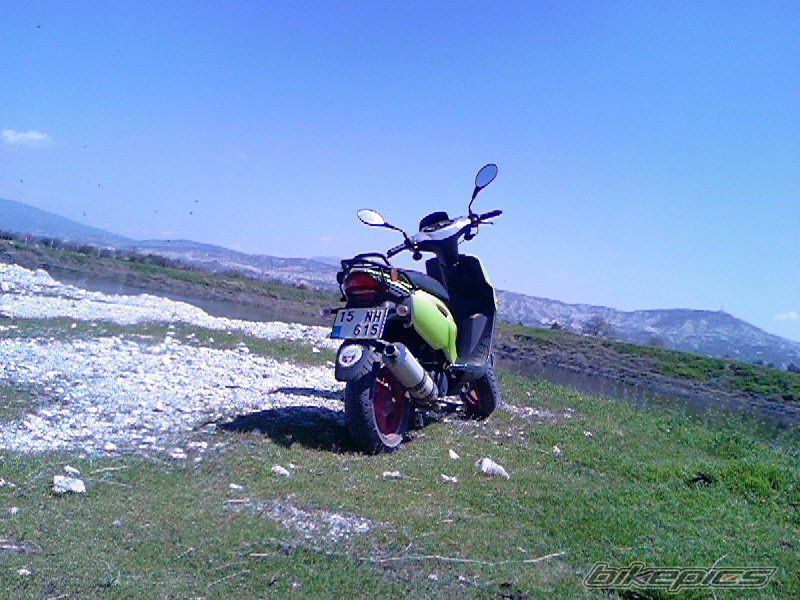 Photo 1380810