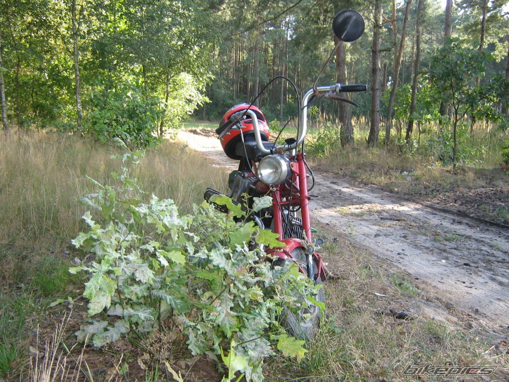Photo 1380873