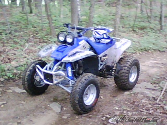 Photo 1380989