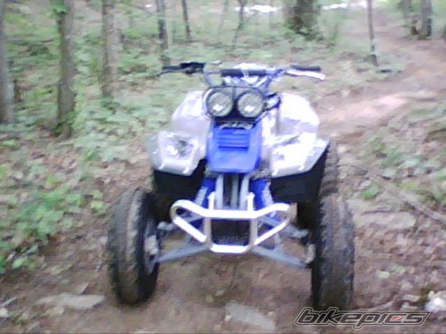 Photo 1380991