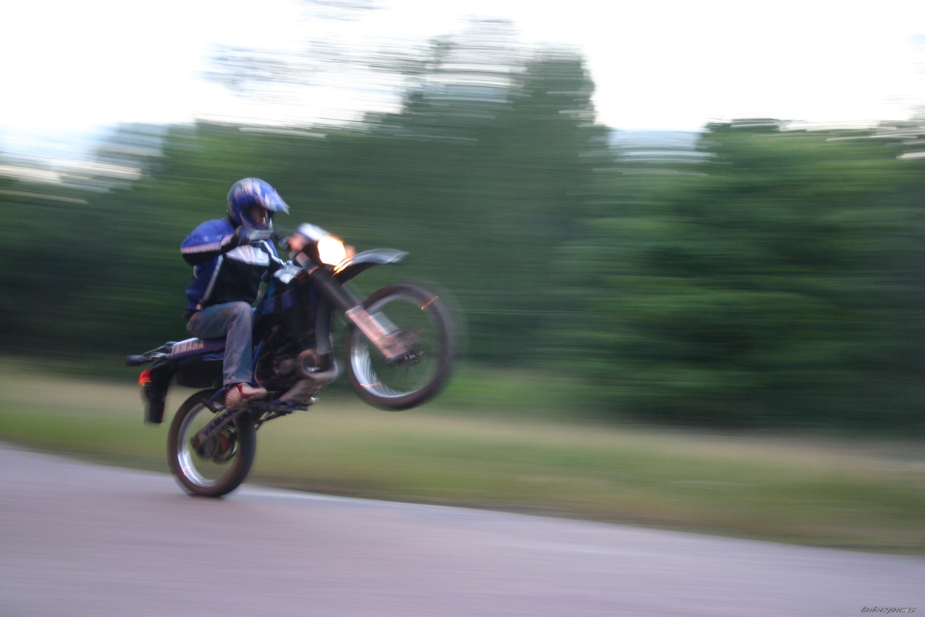 Photo 1381042