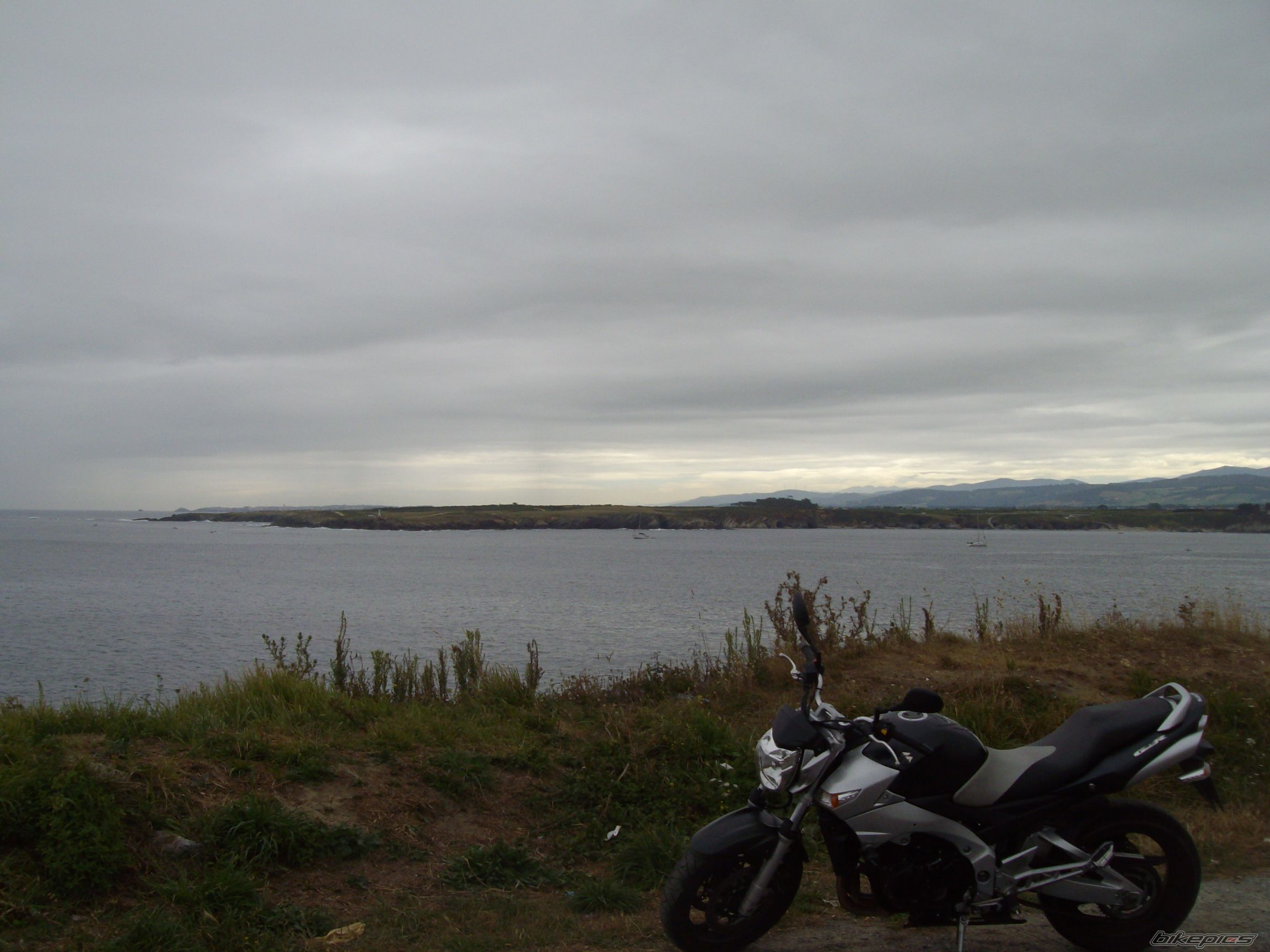 Photo 1381068