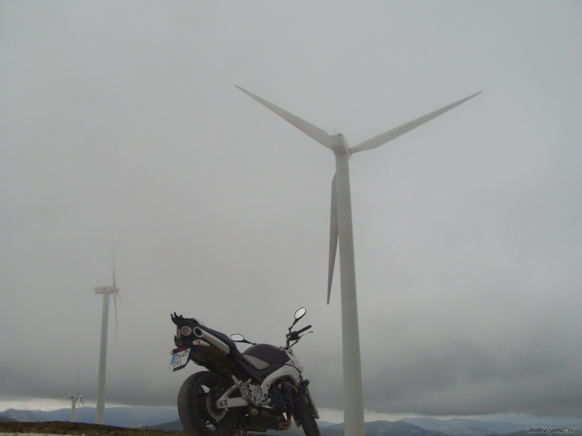 Photo 1381082