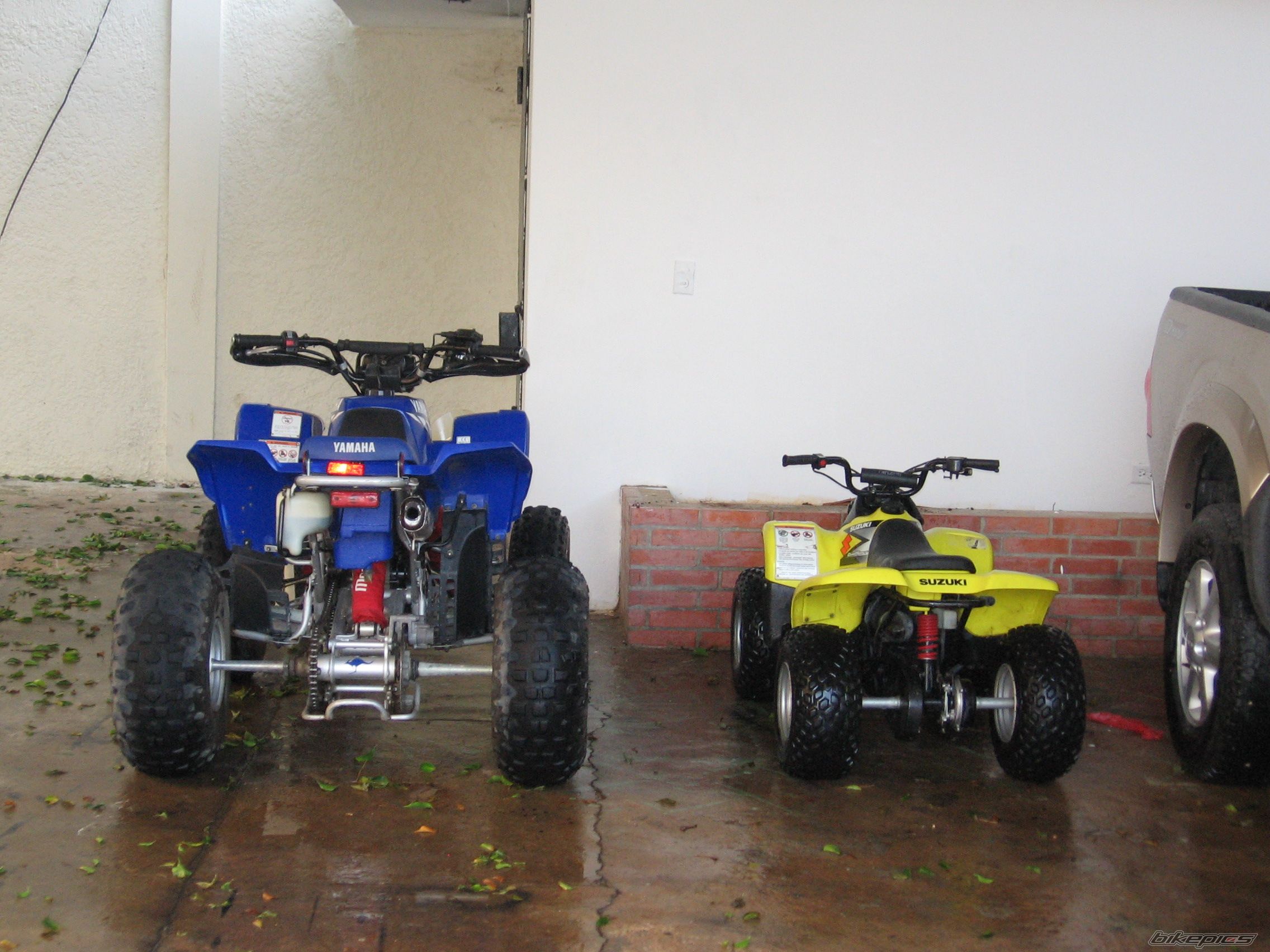 Photo 1381109