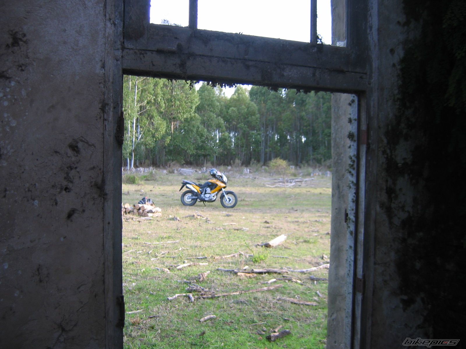Photo 1381112