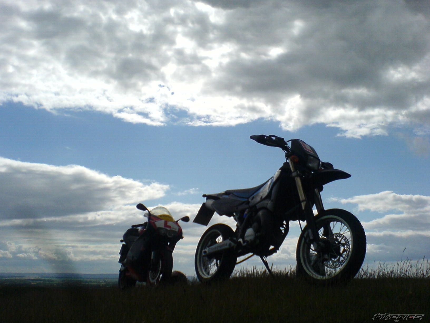 Photo 1381185