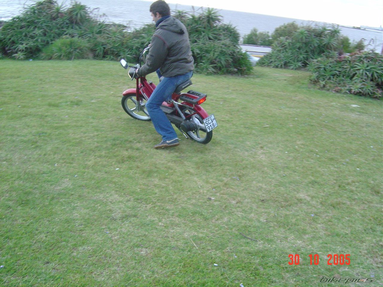 Photo 1381197