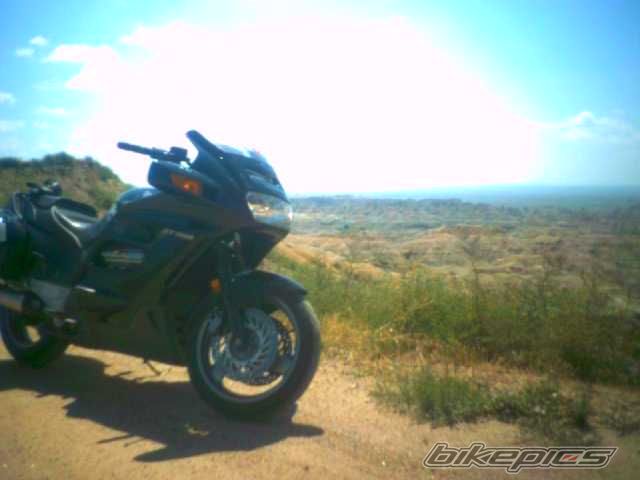 Photo 1381231
