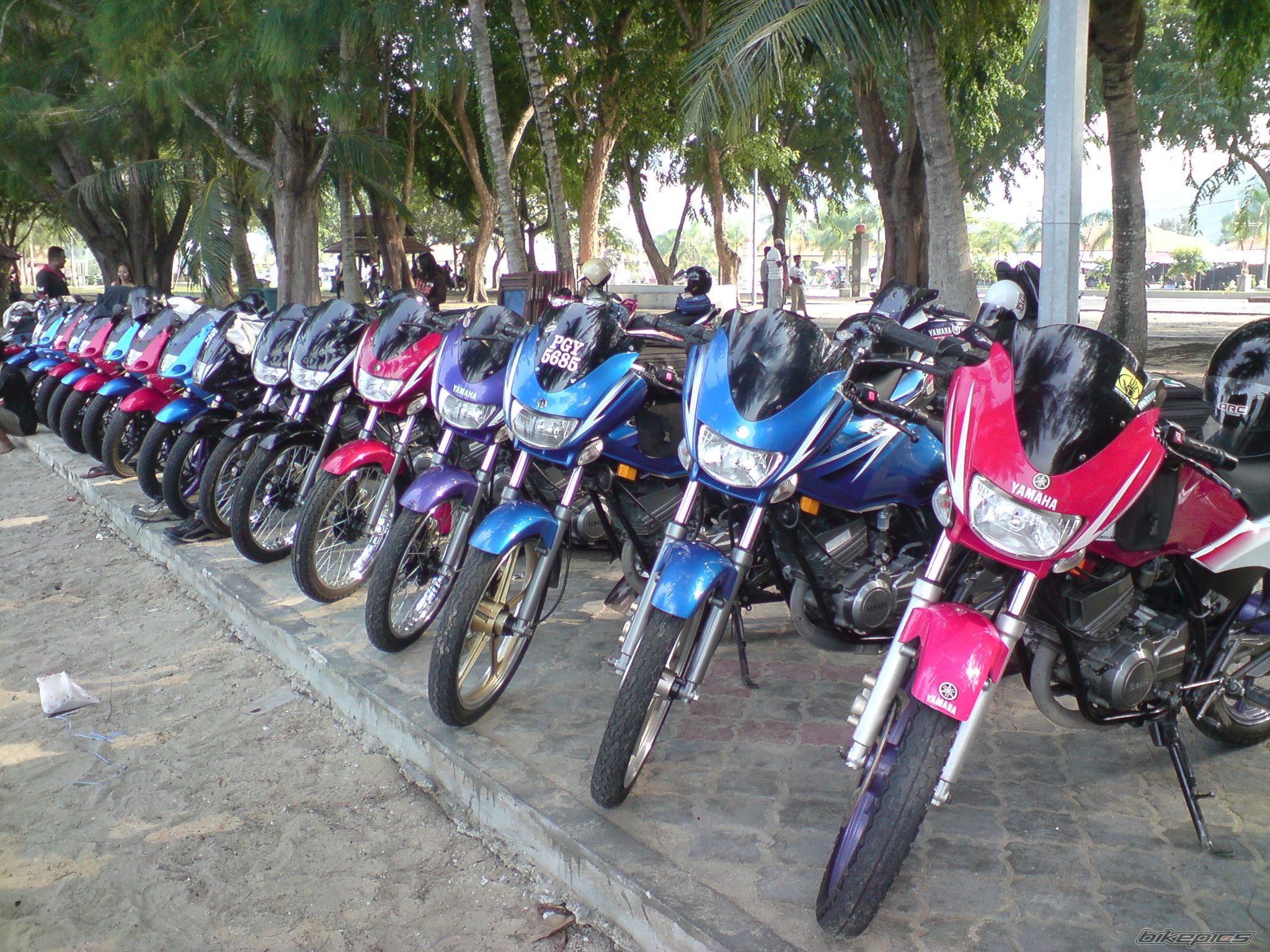 Photo 1381262