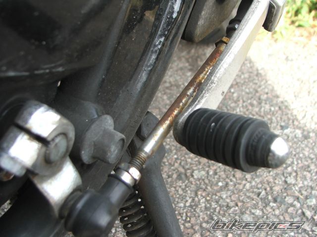 Photo 1381433