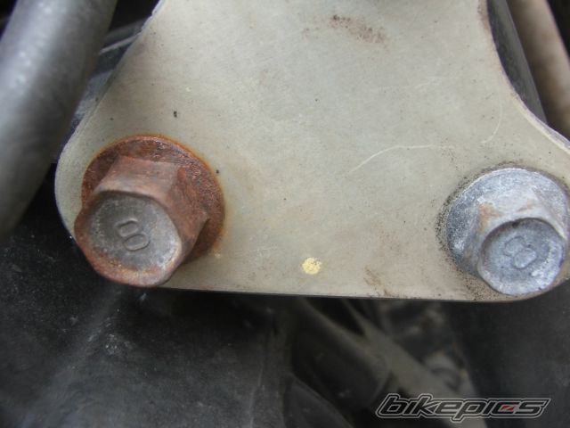 Photo 1381434