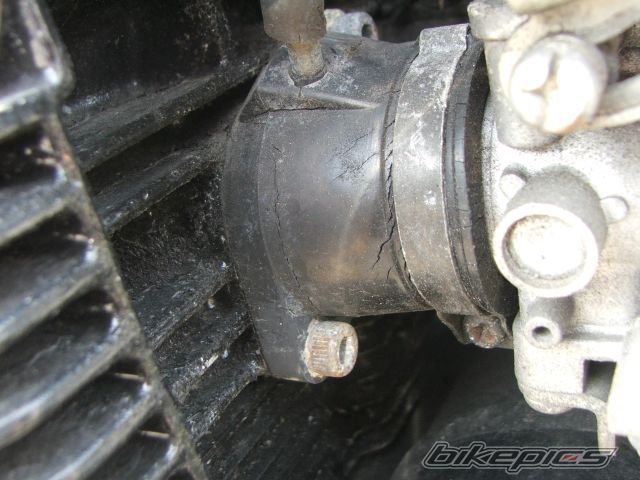 Photo 1381454