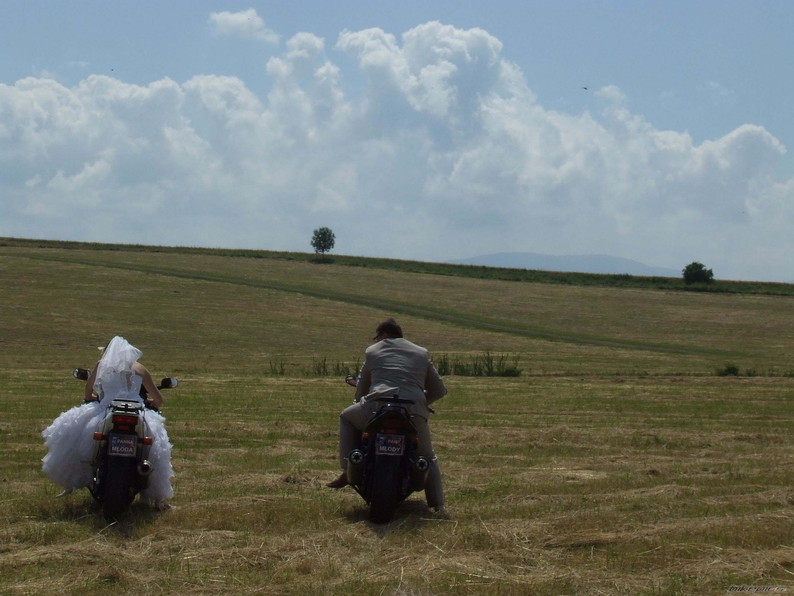 Photo 1381455
