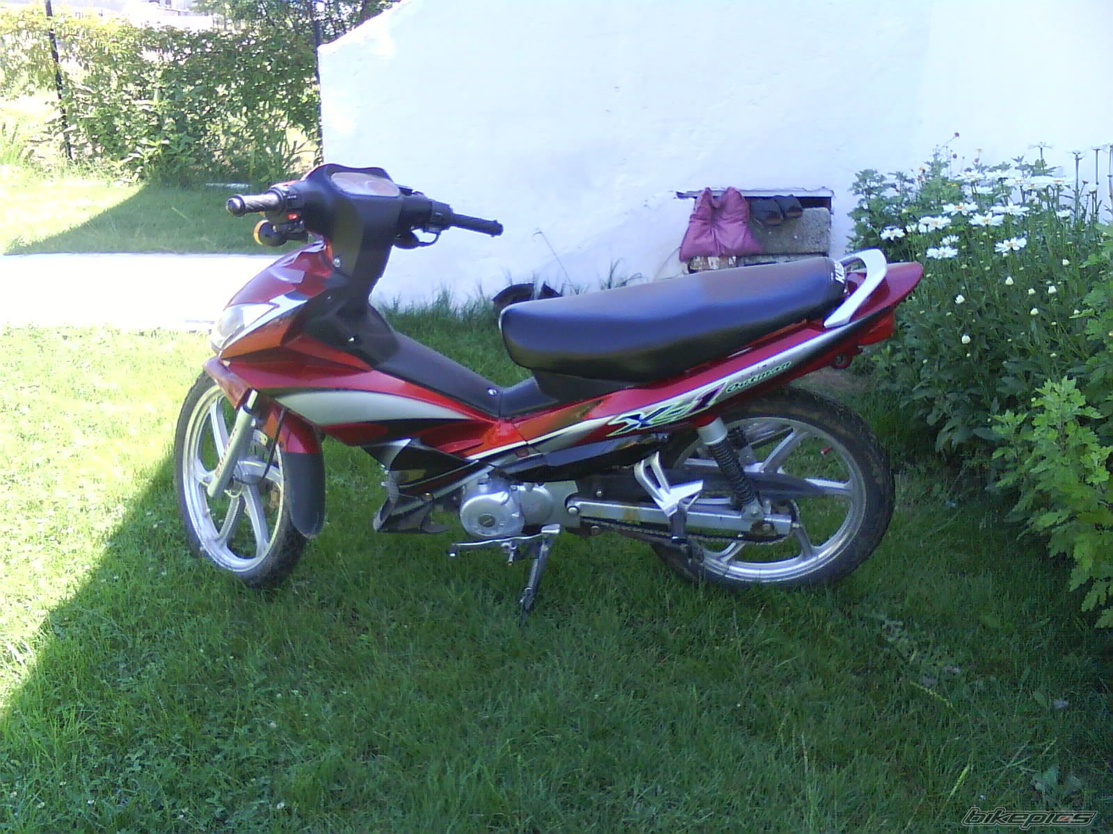 Photo 1381559