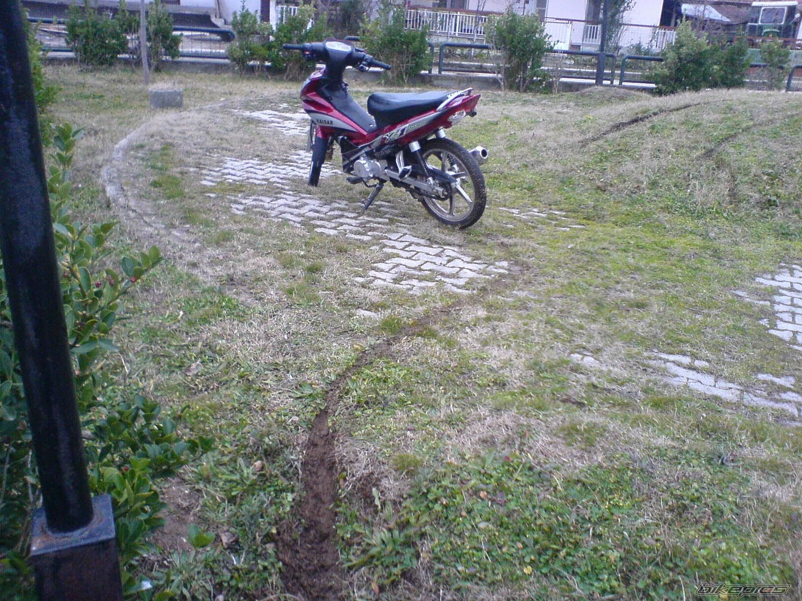 Bike Photo 1381596
