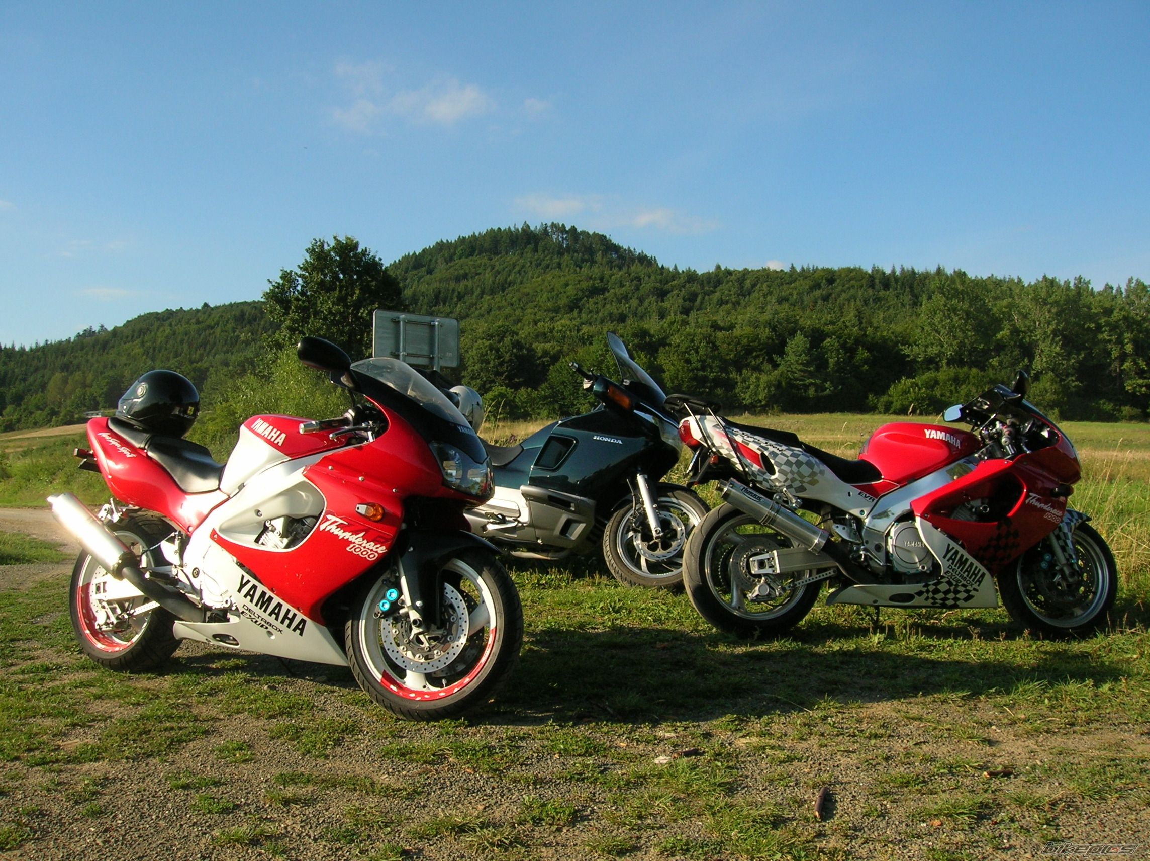 Photo 1381633