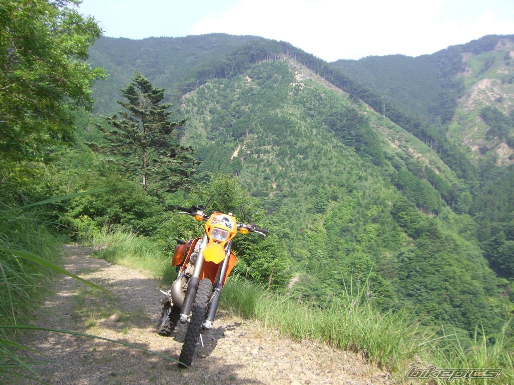 Photo 1381662