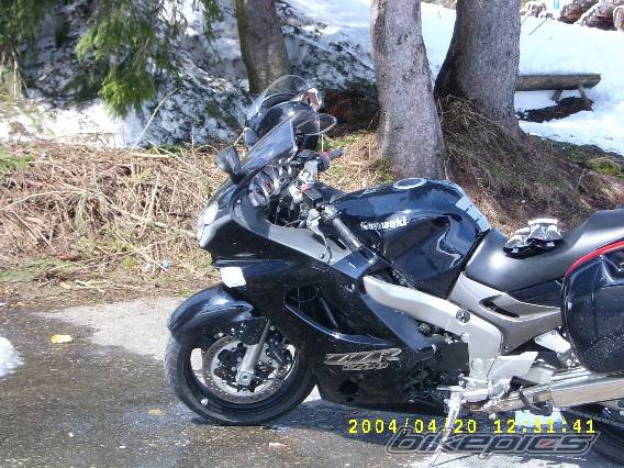 Photo 138181