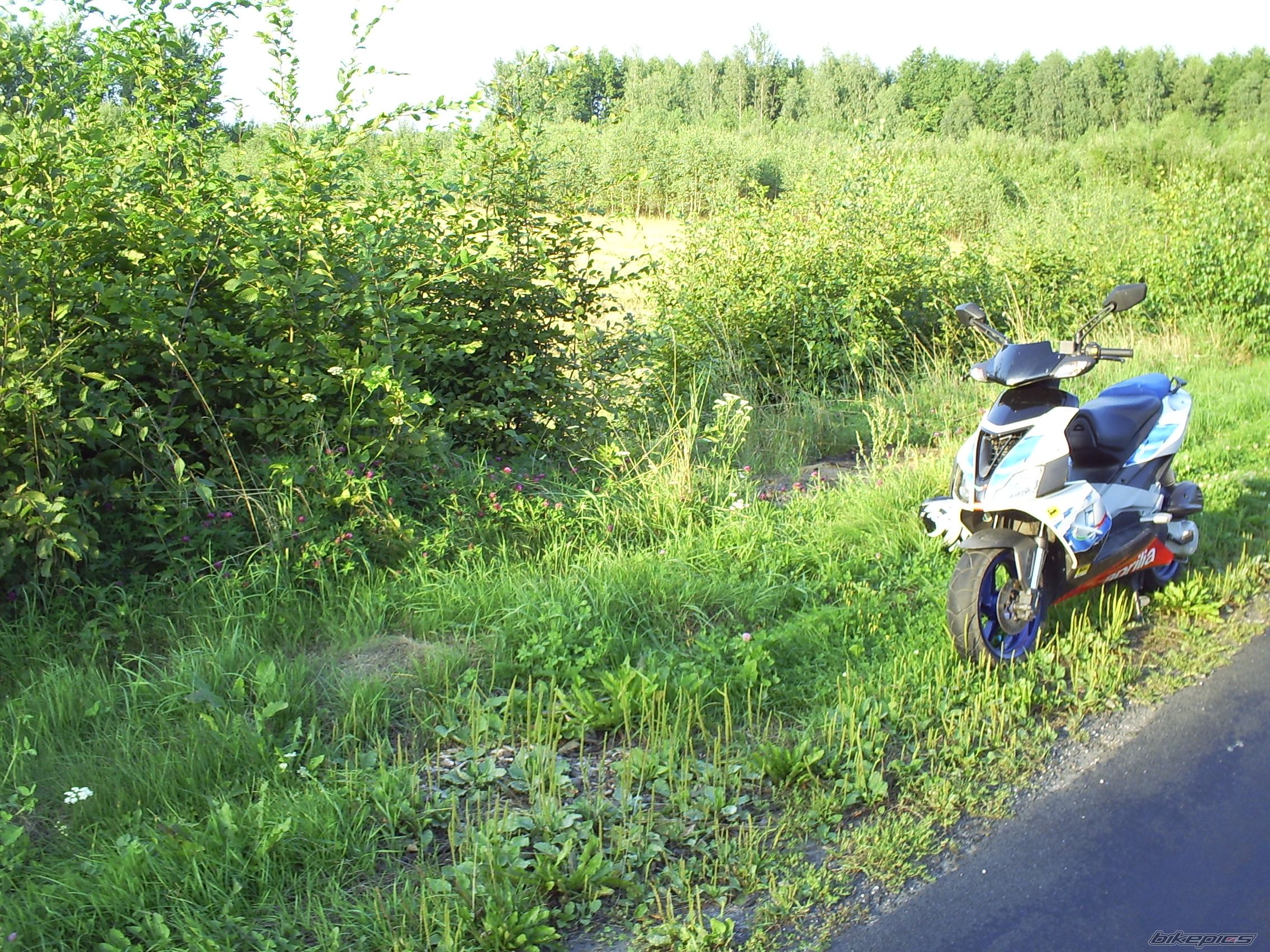 Bike Photo 1381882