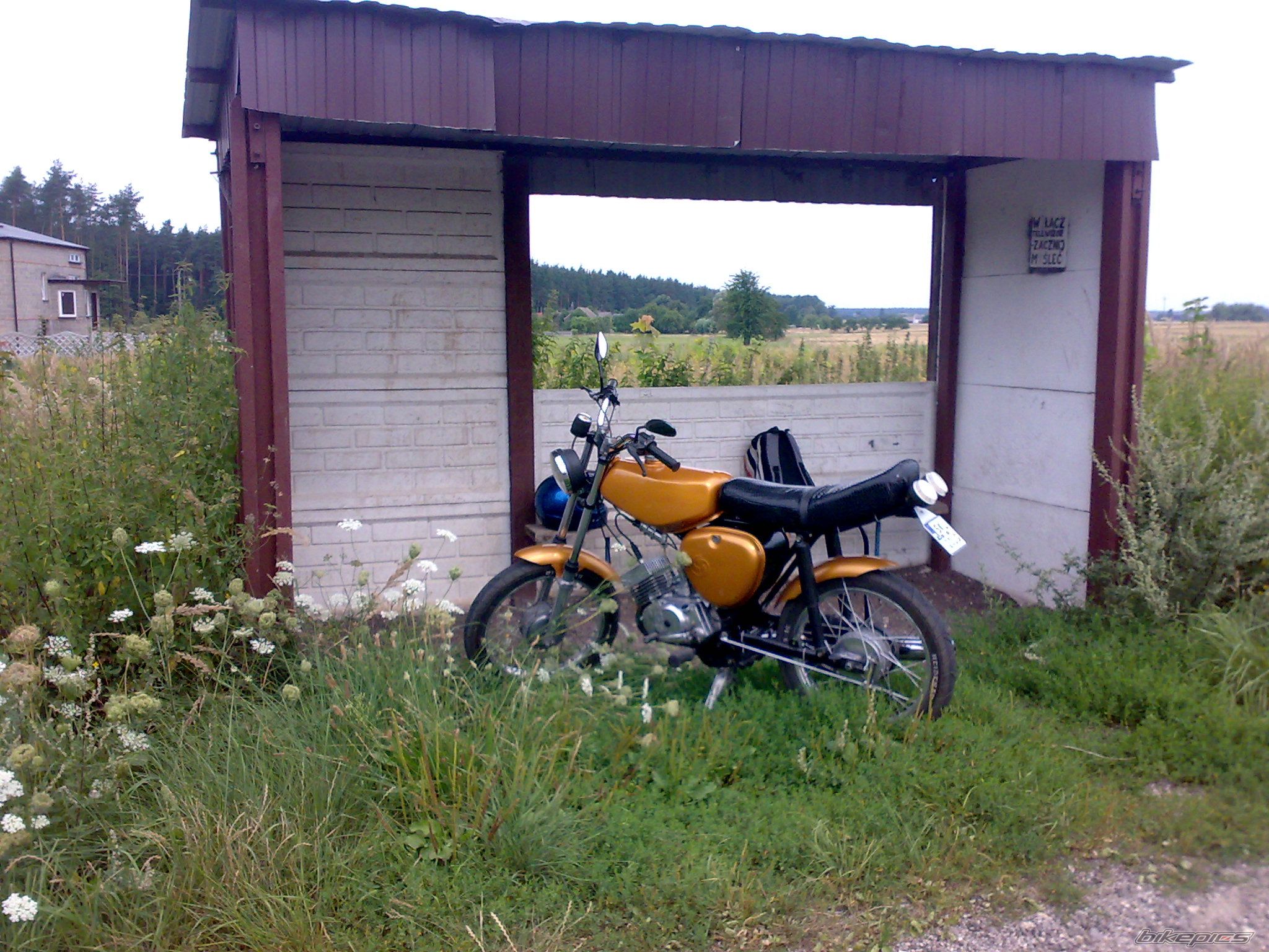 Photo 1381933
