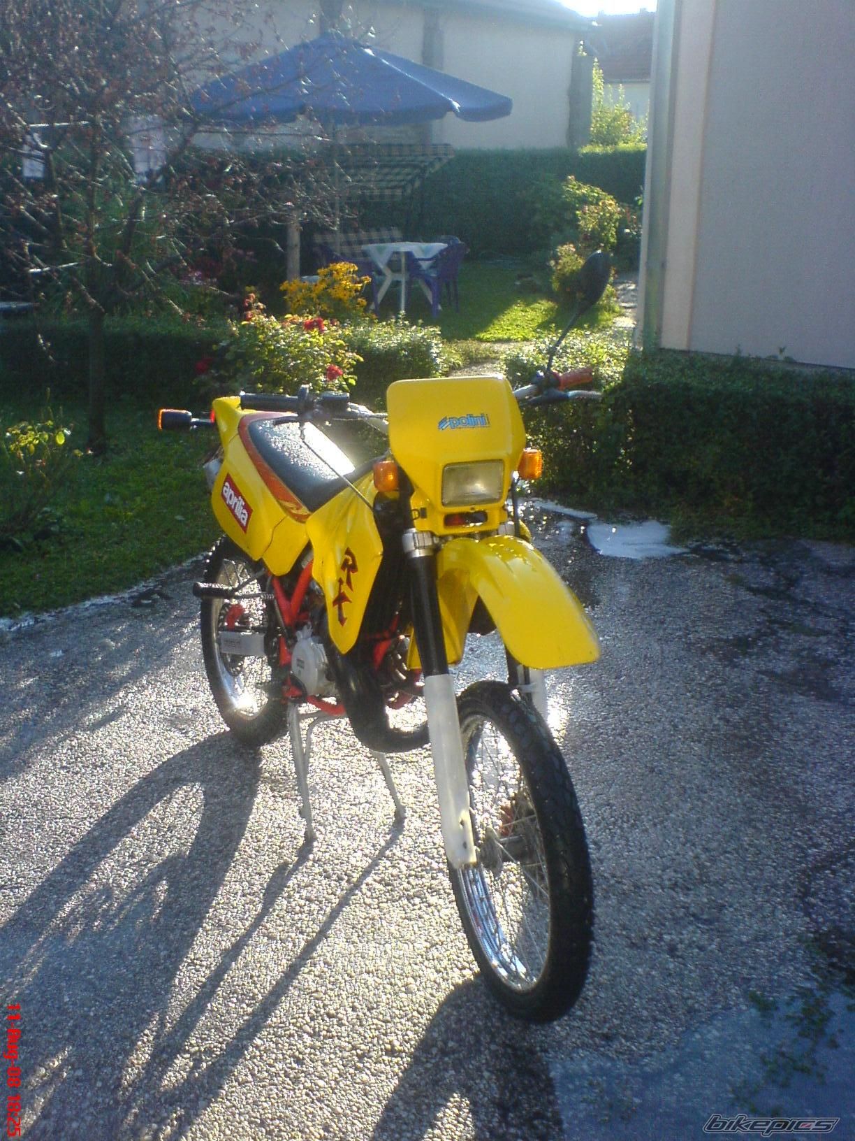 Photo 1381955