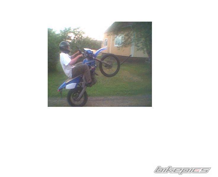 Photo 138202