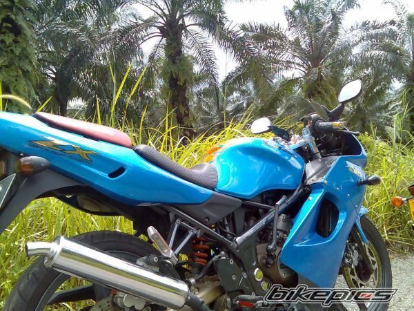 Photo 1382055