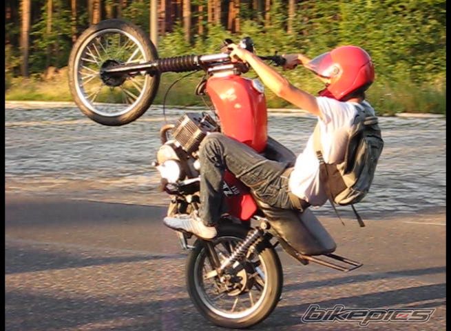 Photo 1382093