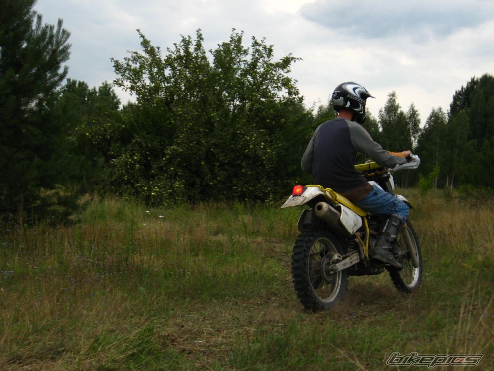 Photo 1382108
