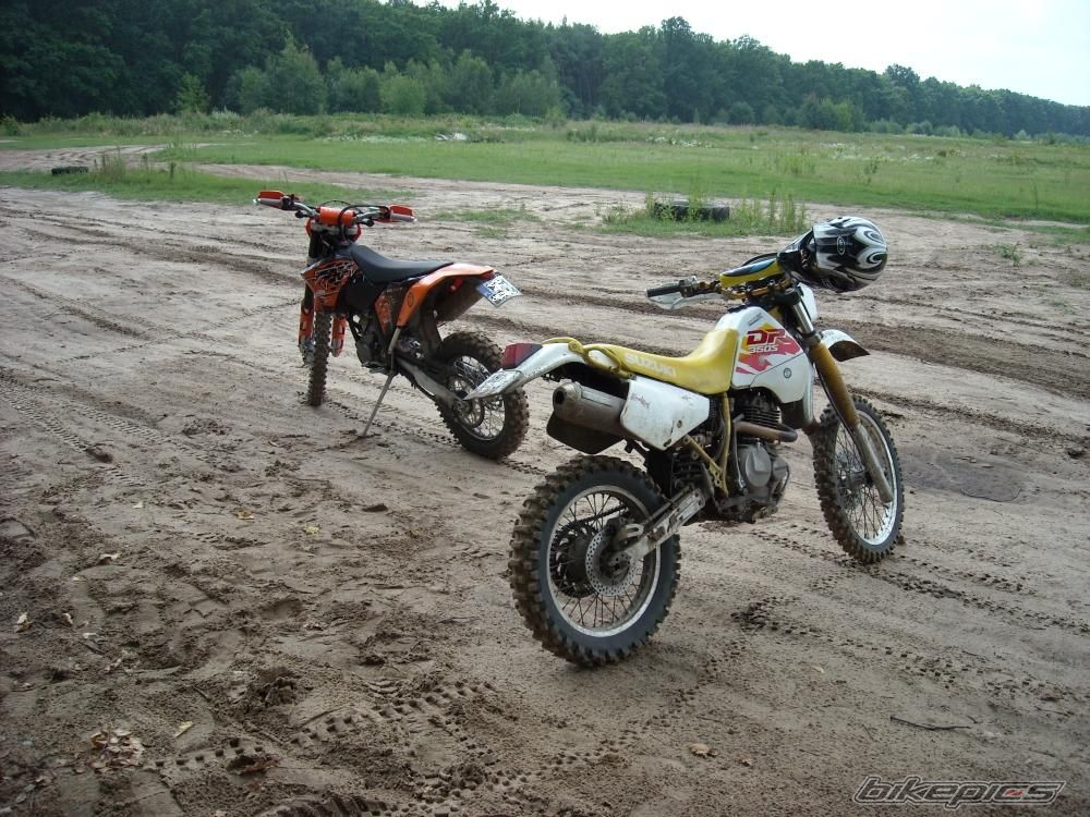 Photo 1382111