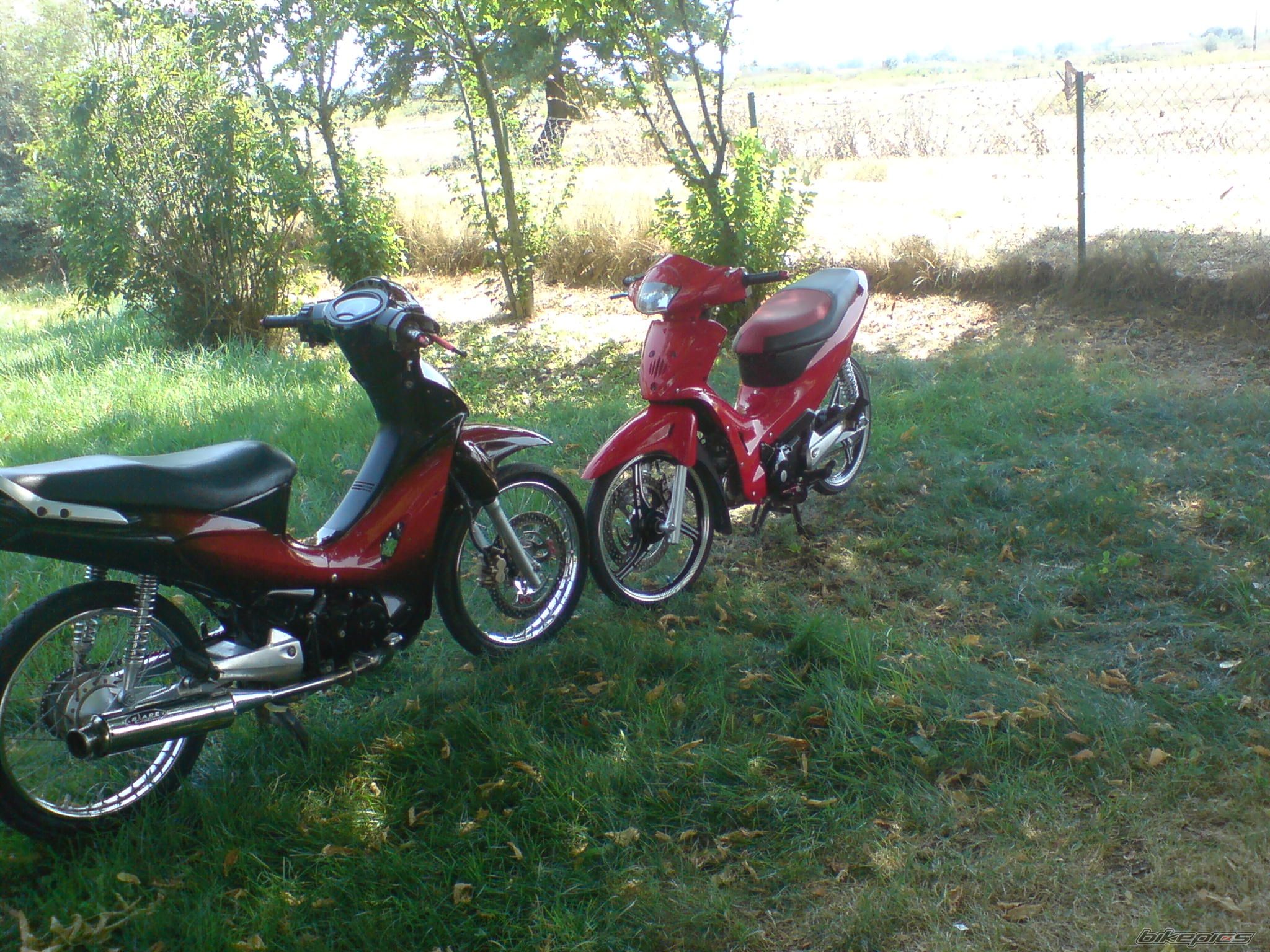 Photo 1382173