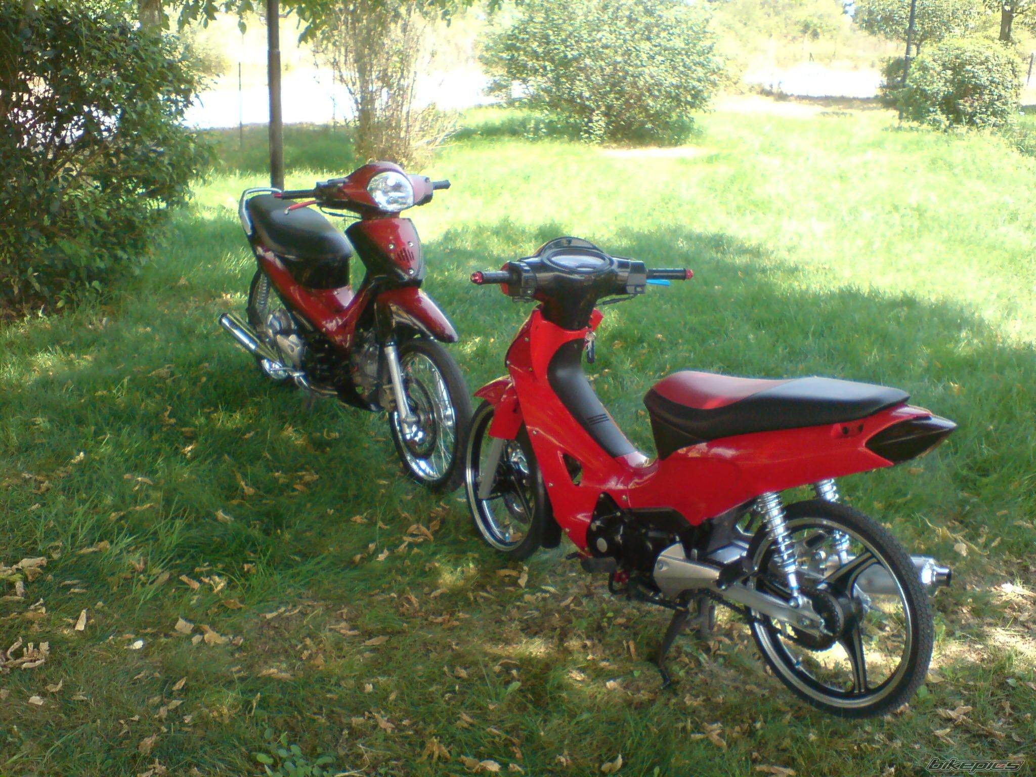 Photo 1382174
