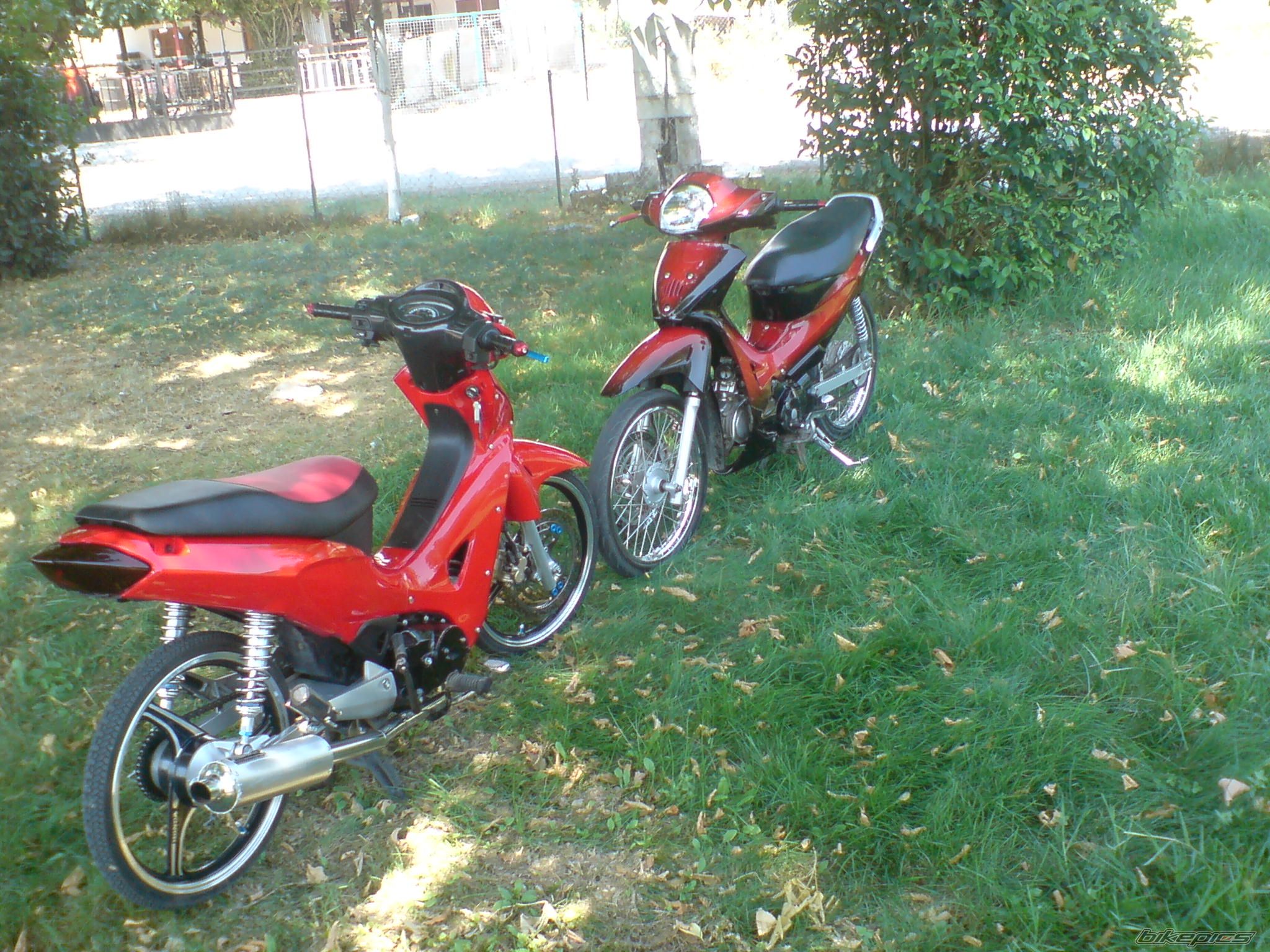 Photo 1382177