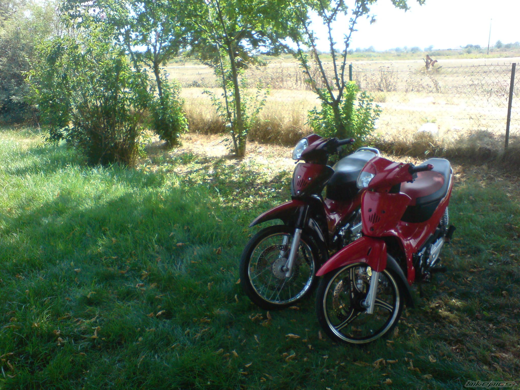 Photo 1382178