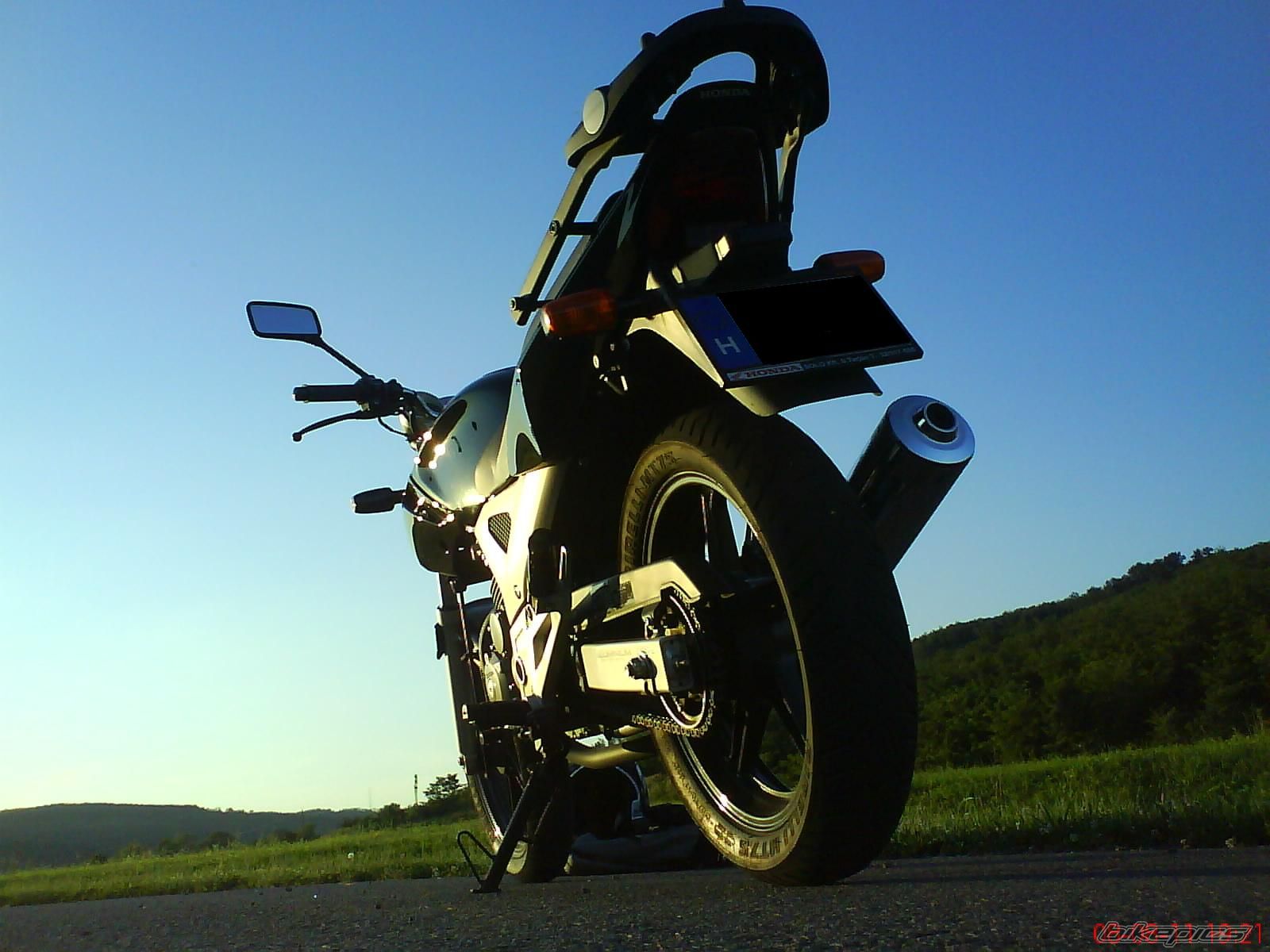 Photo 1382191